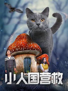 一个人直播www在线播放
