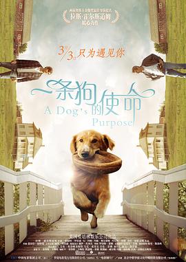 姑娘们