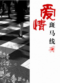 ネット上の男性同志gaydvd
